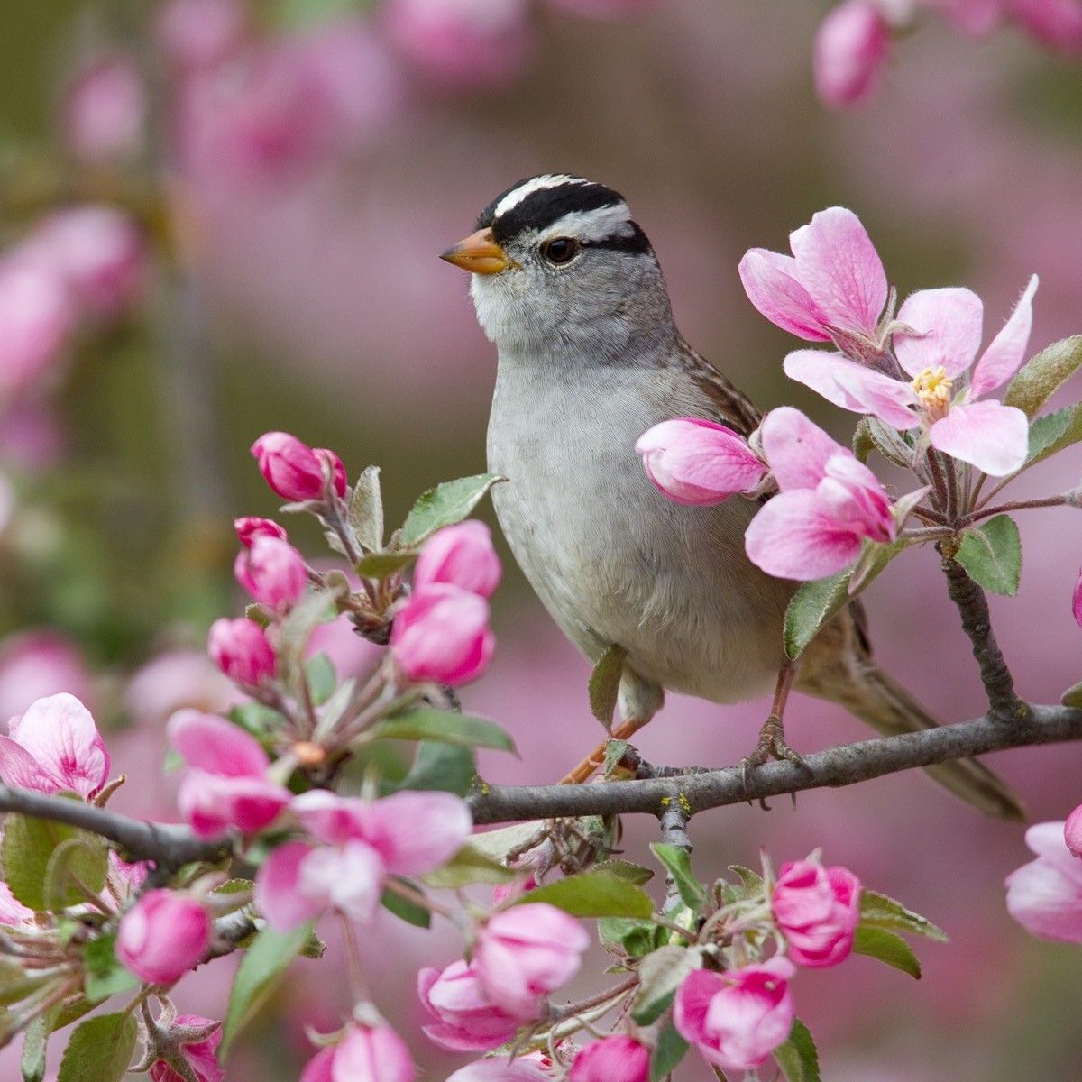 d9cda899006bd278abcbb1ee68ad8aa8