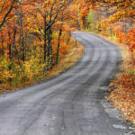stock-photo-road-through-autumn