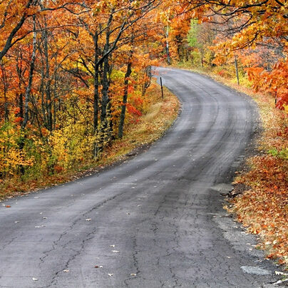 stock-photo-road-through-autumn